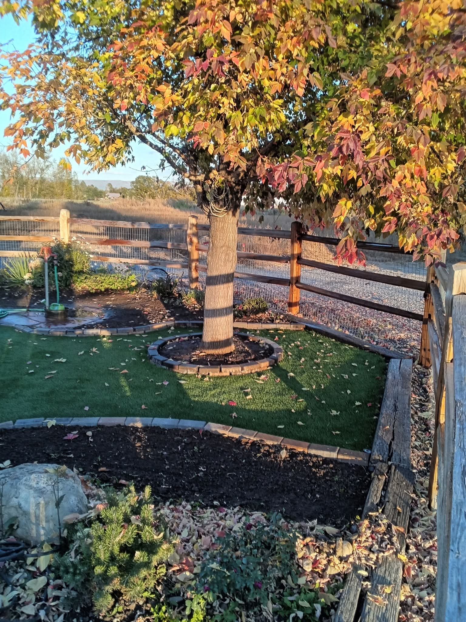 FB_IMG_1771131527218