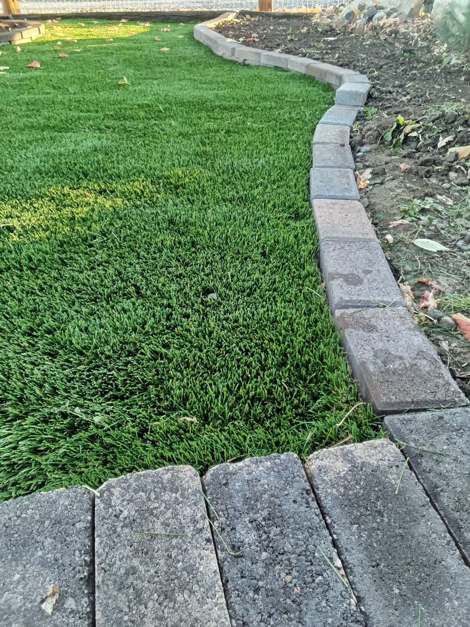 FB_IMG_1771131535817