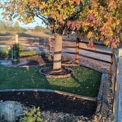 FB_IMG_1771131527218