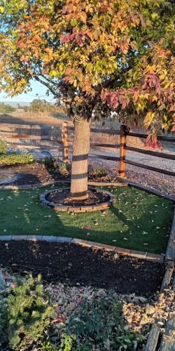 FB_IMG_1771131527218