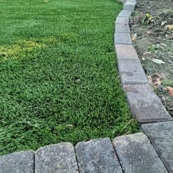 FB_IMG_1771131535817